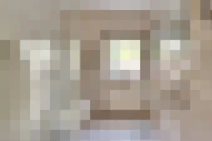 Kruisherenstraat 1 Uden thumbnail 15