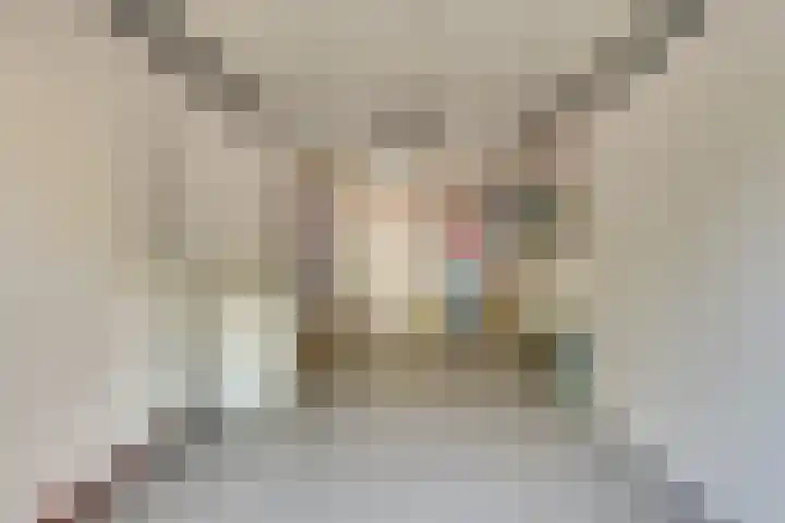 Kruisherenstraat 1 Uden thumbnail 20