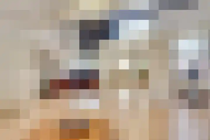 Kruisherenstraat 1 Uden thumbnail 23