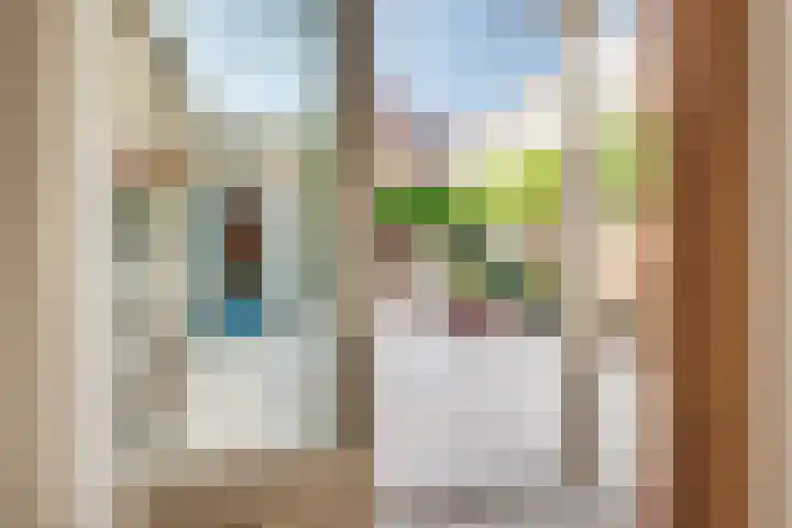 Kruisherenstraat 1 Uden thumbnail 25