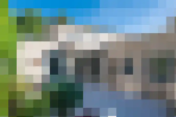 Kruisherenstraat 1 Uden thumbnail 27