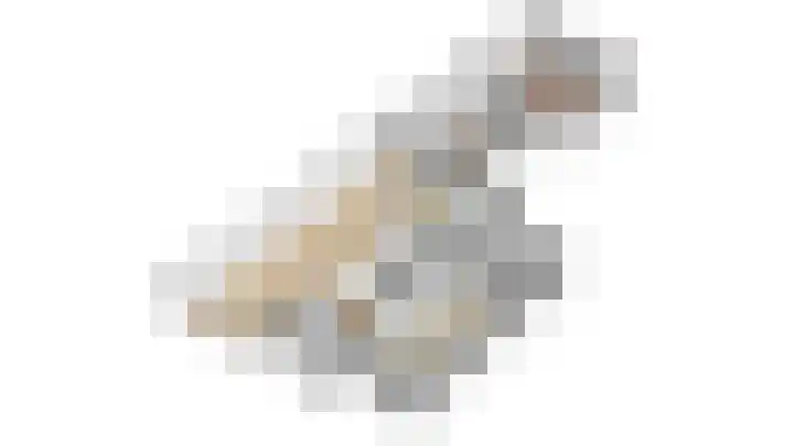 Kruisherenstraat 1 Uden thumbnail 31
