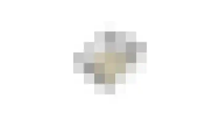 Kruisherenstraat 1 Uden thumbnail 33