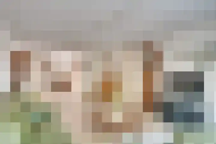 Kruisherenstraat 1 Uden thumbnail 6