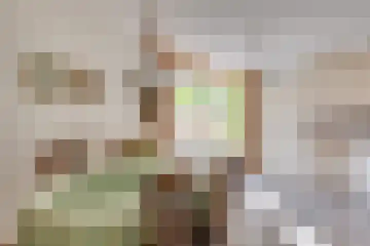 Kruisherenstraat 1 Uden thumbnail 8