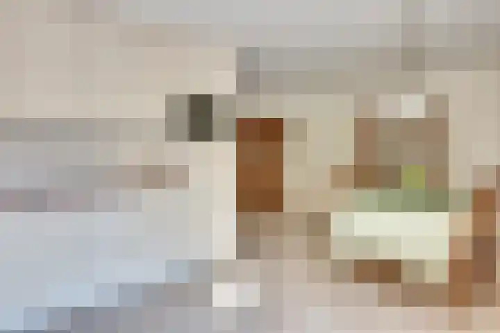 Kruisherenstraat 1 Uden thumbnail 9