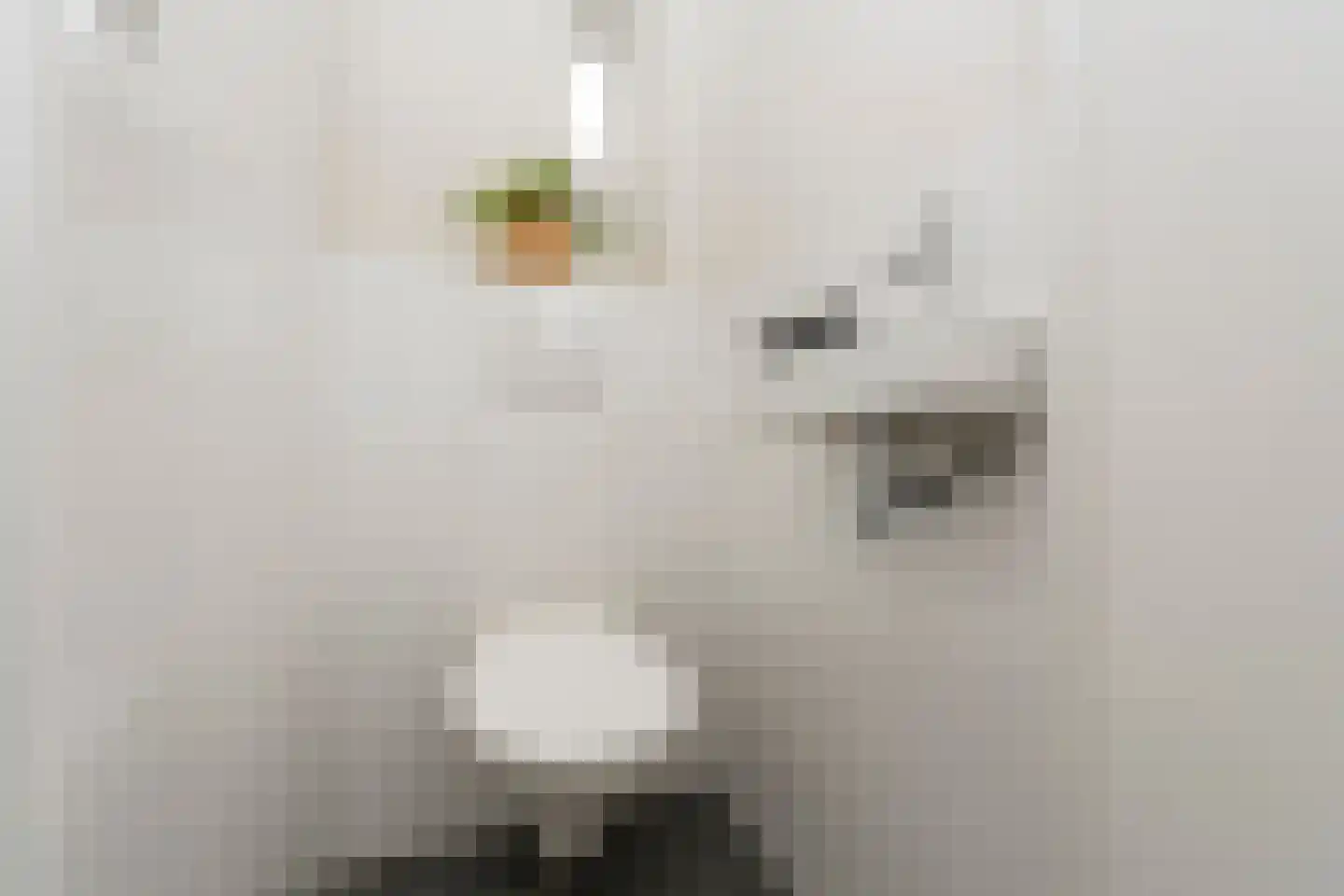 Kruisherenstraat 13 Dongen thumbnail 12