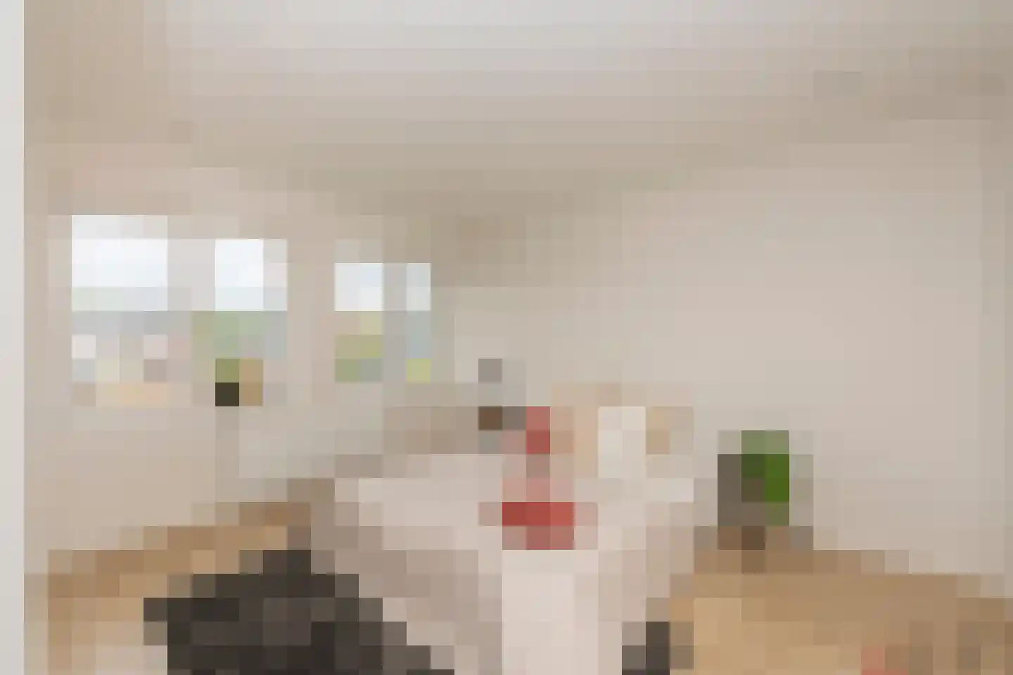 Kruisherenstraat 13 Dongen thumbnail 14