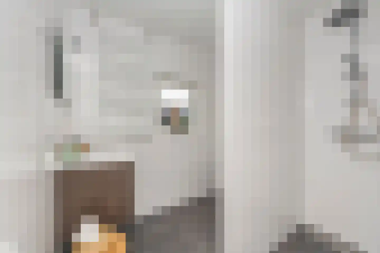Kruisherenstraat 13 Dongen thumbnail 23