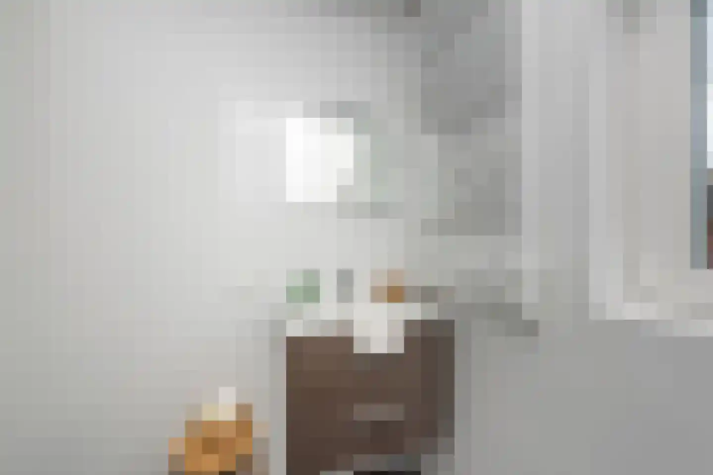 Kruisherenstraat 13 Dongen thumbnail 24