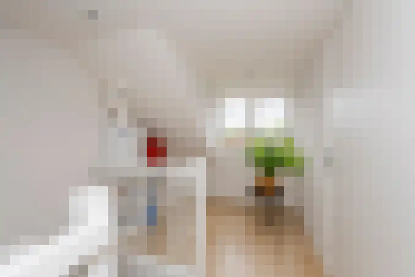 Kruisherenstraat 13 Dongen thumbnail 27