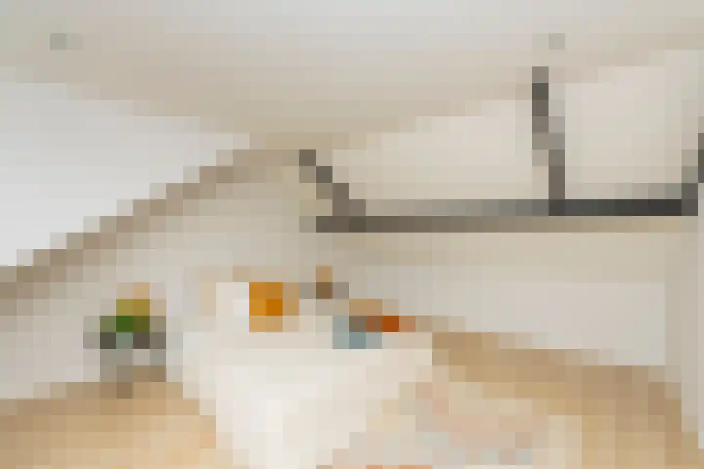 Kruisherenstraat 13 Dongen thumbnail 29
