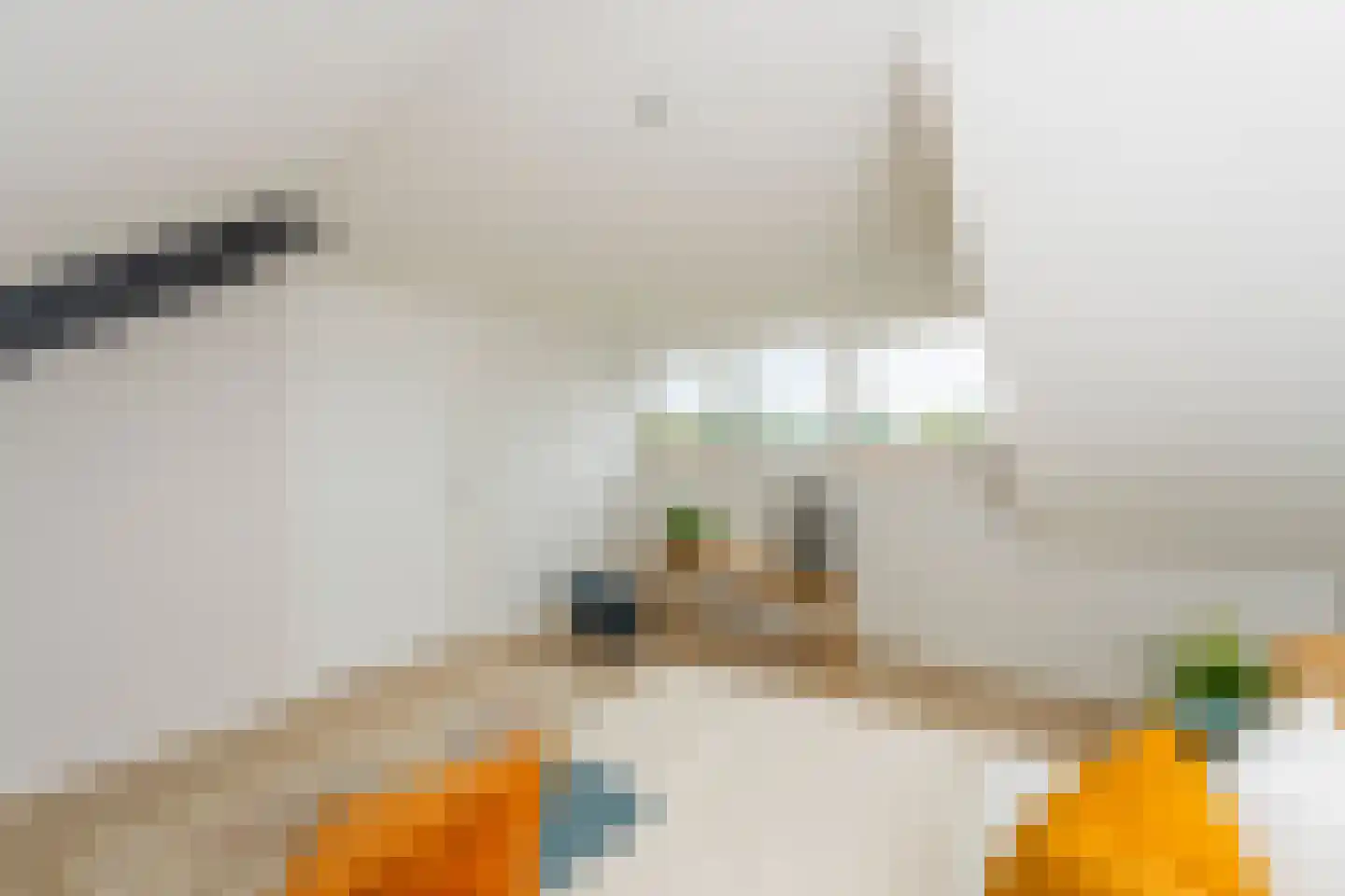 Kruisherenstraat 13 Dongen thumbnail 30