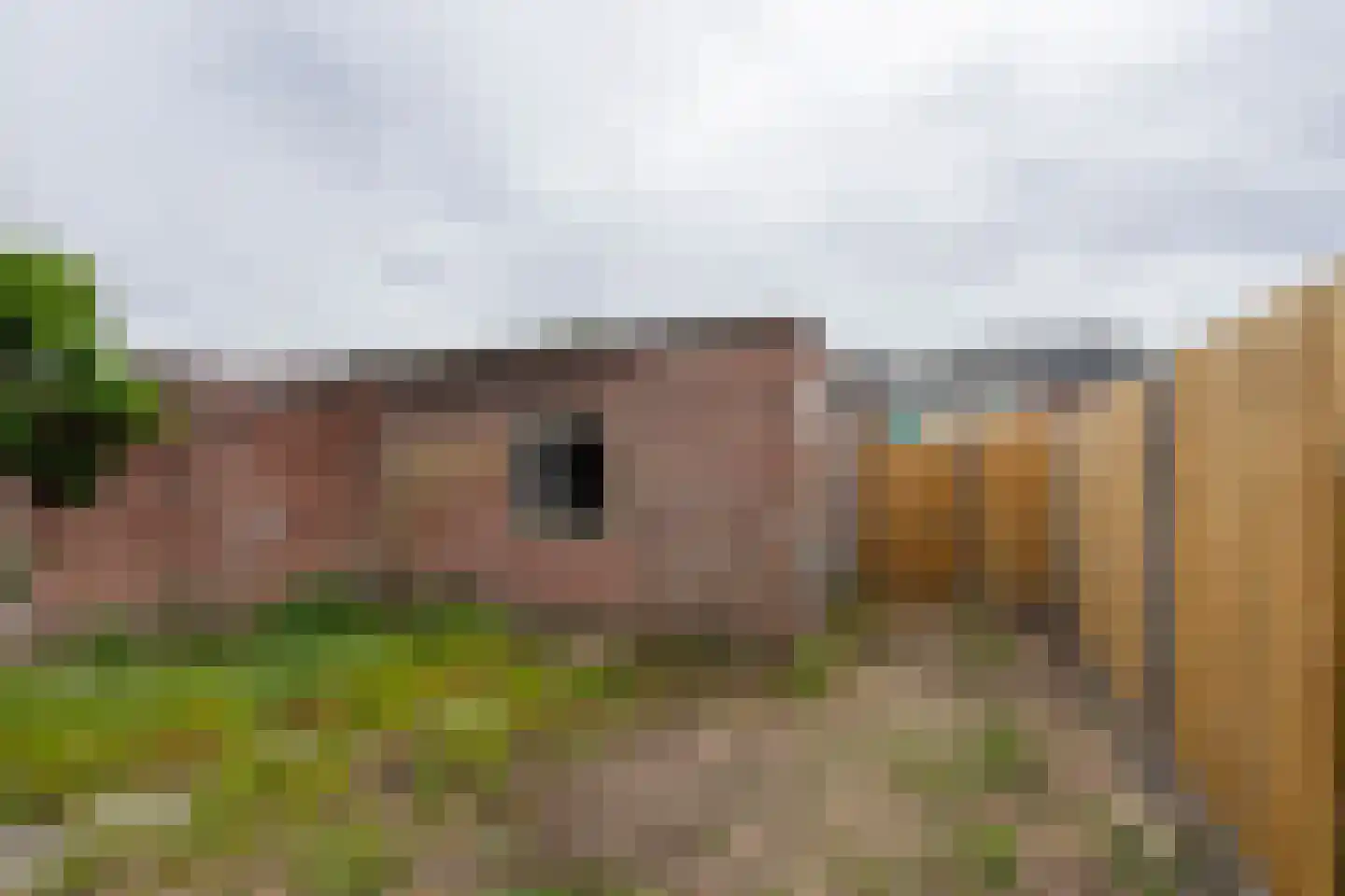 Kruisherenstraat 13 Dongen thumbnail 37