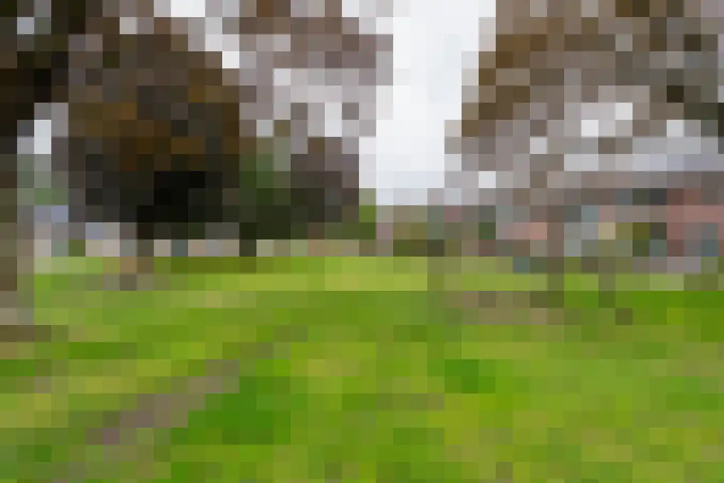 Kruisherenstraat 13 Dongen thumbnail 39