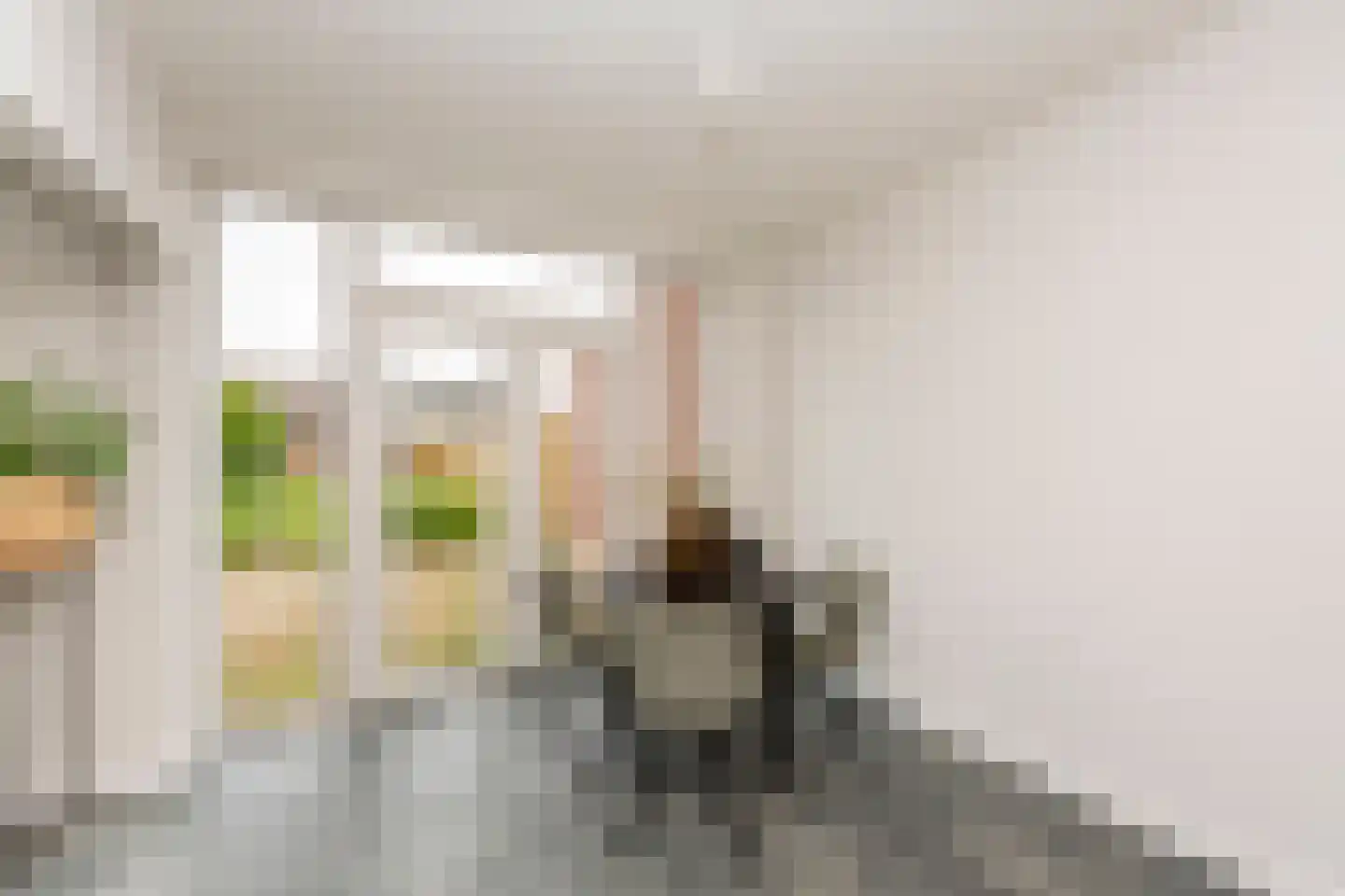 Kruisherenstraat 13 Dongen thumbnail 7