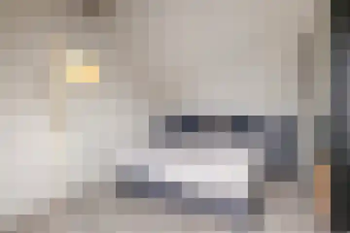 Kruisherenstraat 17 Tilburg thumbnail 17