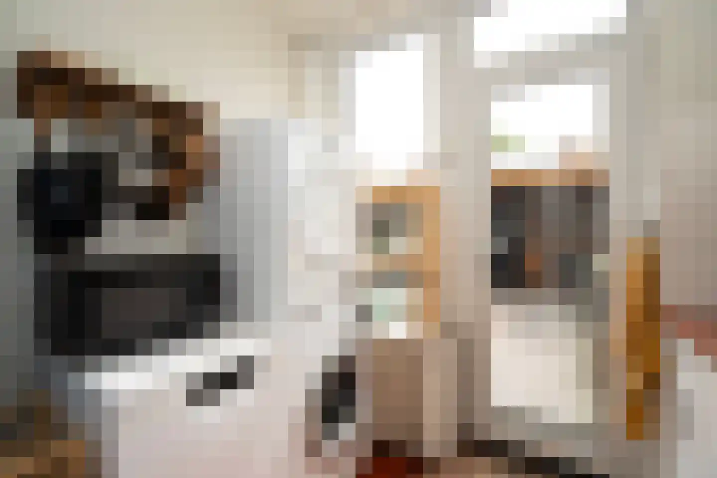 Kruisherenstraat 22 Tilburg thumbnail 19