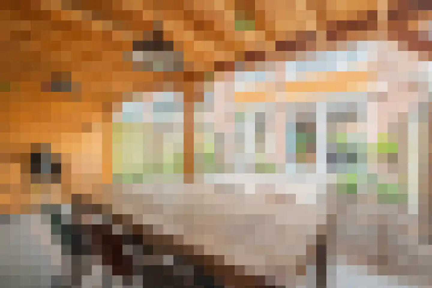 Kruisherenstraat 22 Tilburg thumbnail 24