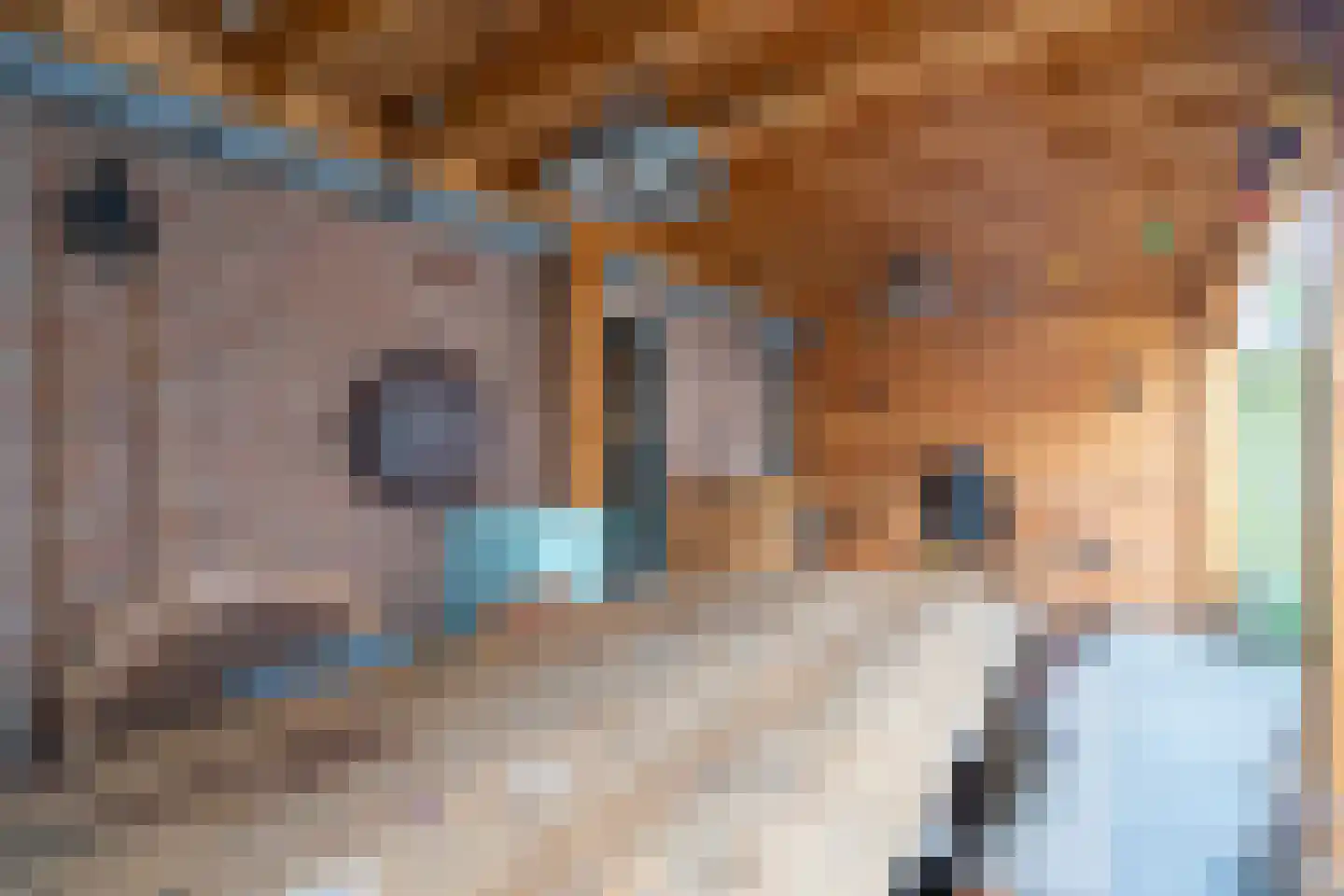 Kruisherenstraat 22 Tilburg thumbnail 25