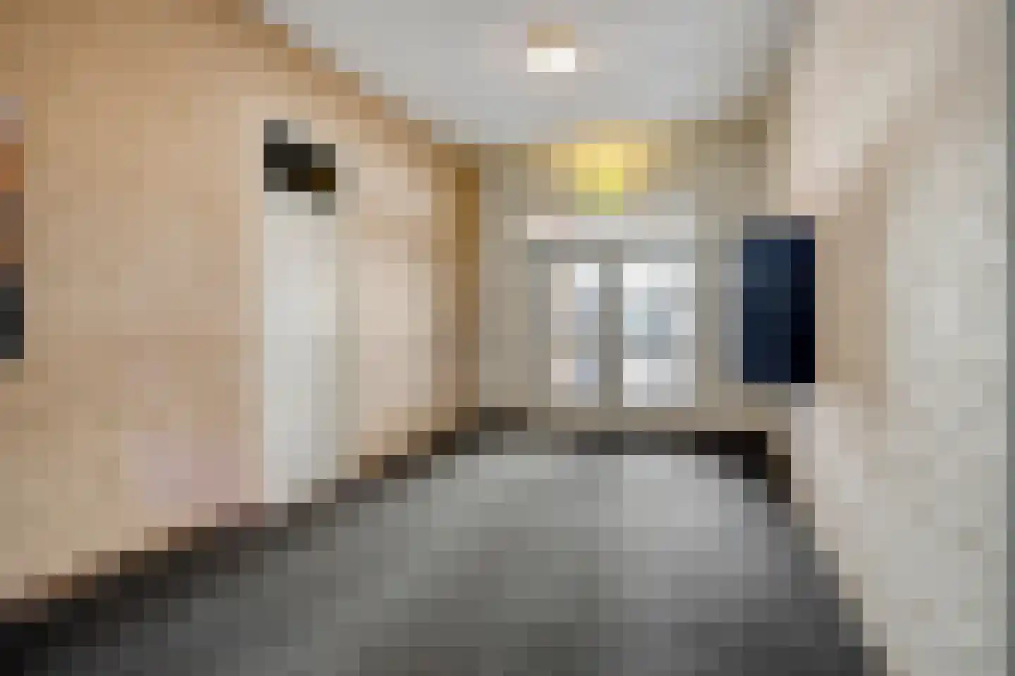 Kruisherenstraat 313 Roermond thumbnail 9