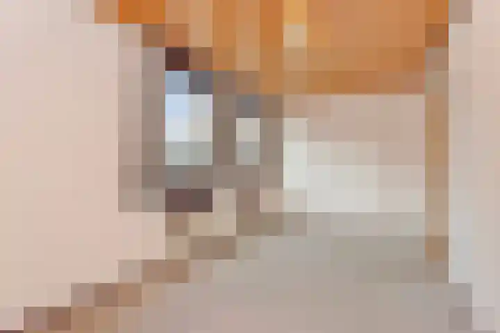 Kruisherenstraat 317 Roermond thumbnail 21