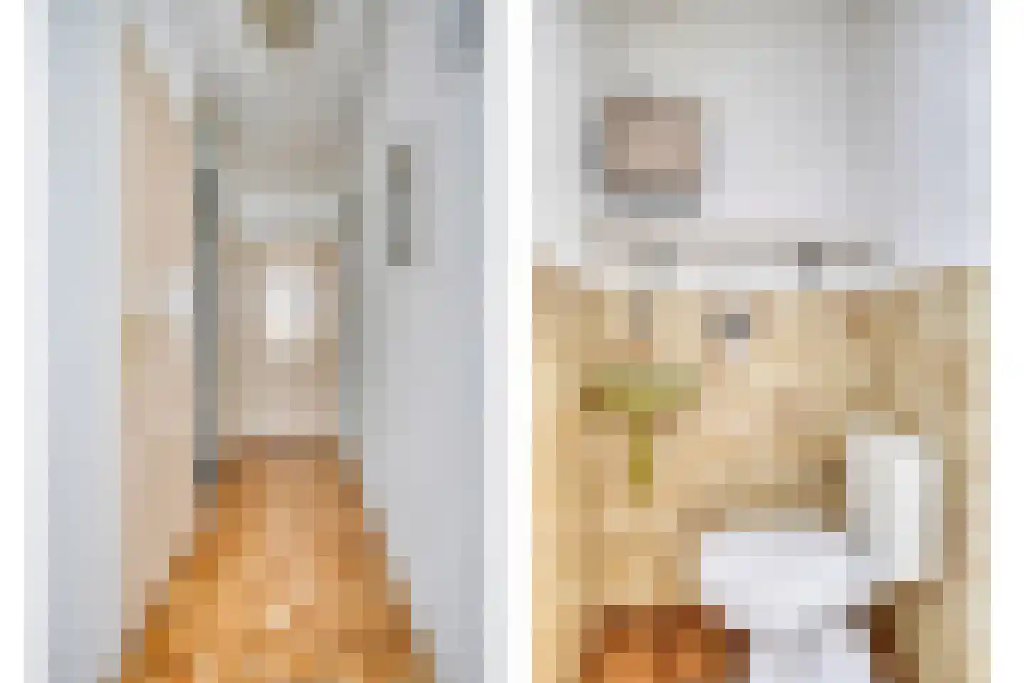 Kruisherenstraat 4 Tilburg thumbnail 11