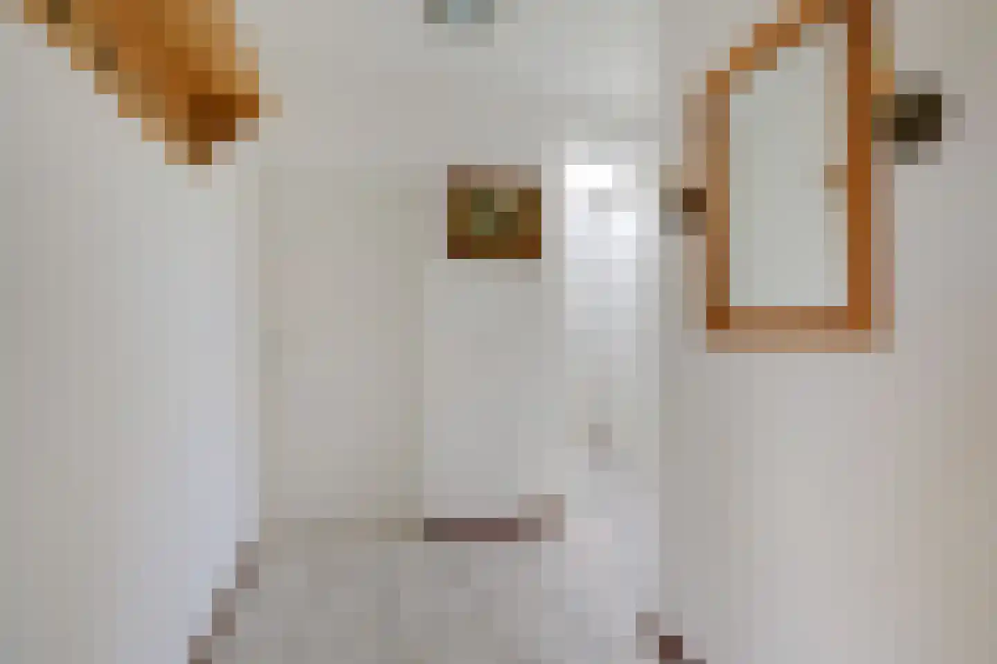 Kruisherenstraat 8 Groessen thumbnail 18