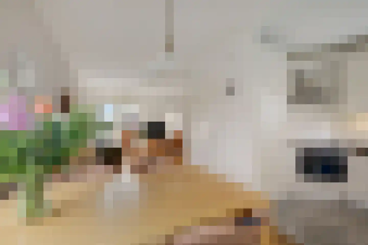 Kruisherenstraat 8 Groessen thumbnail 25