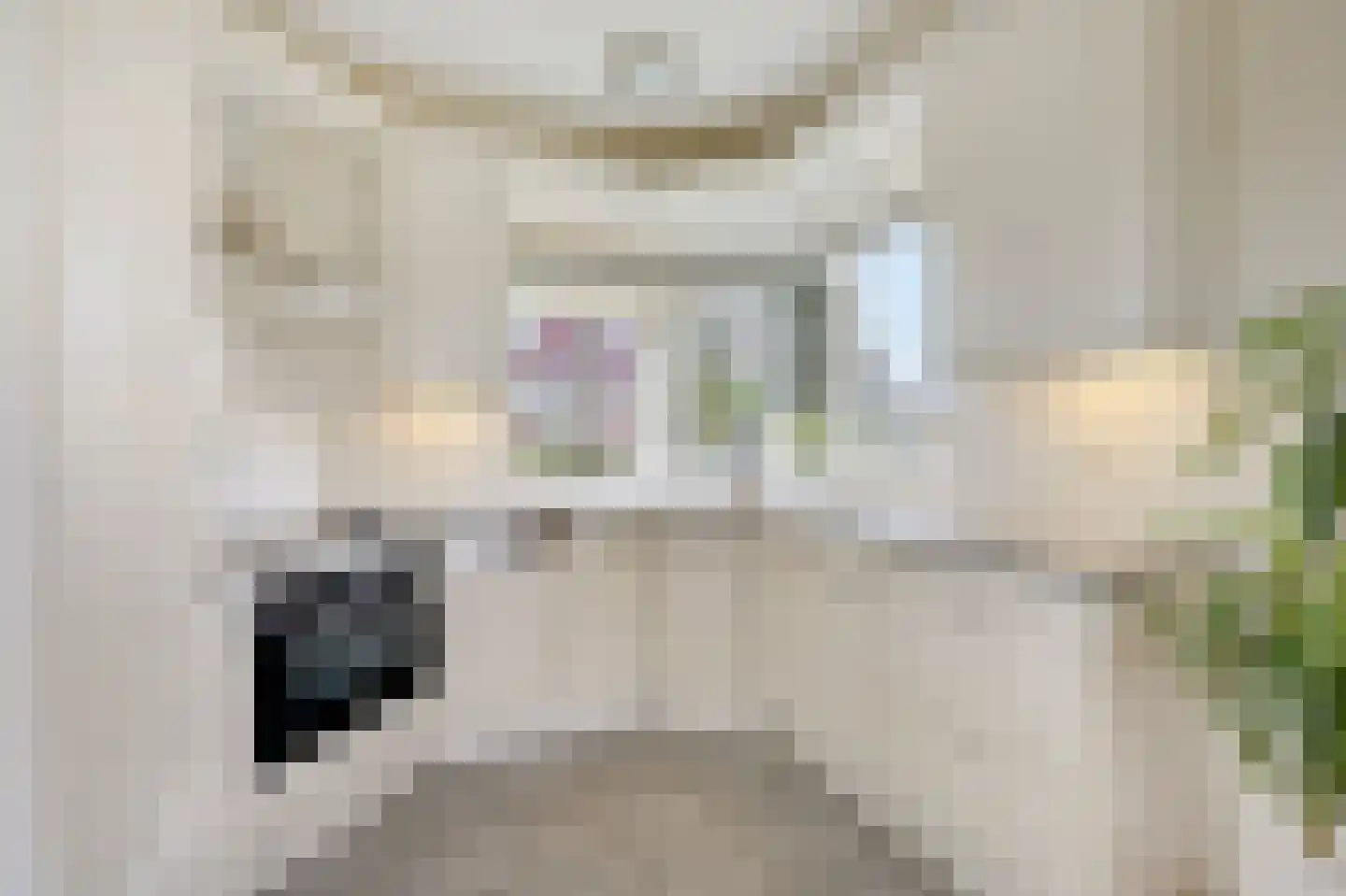 Kruisherenstraat 8 Groessen thumbnail 26