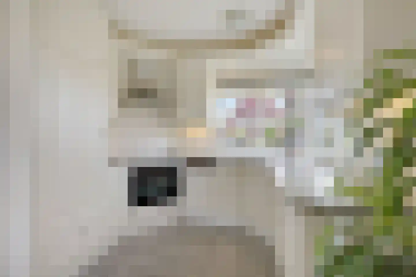 Kruisherenstraat 8 Groessen thumbnail 27