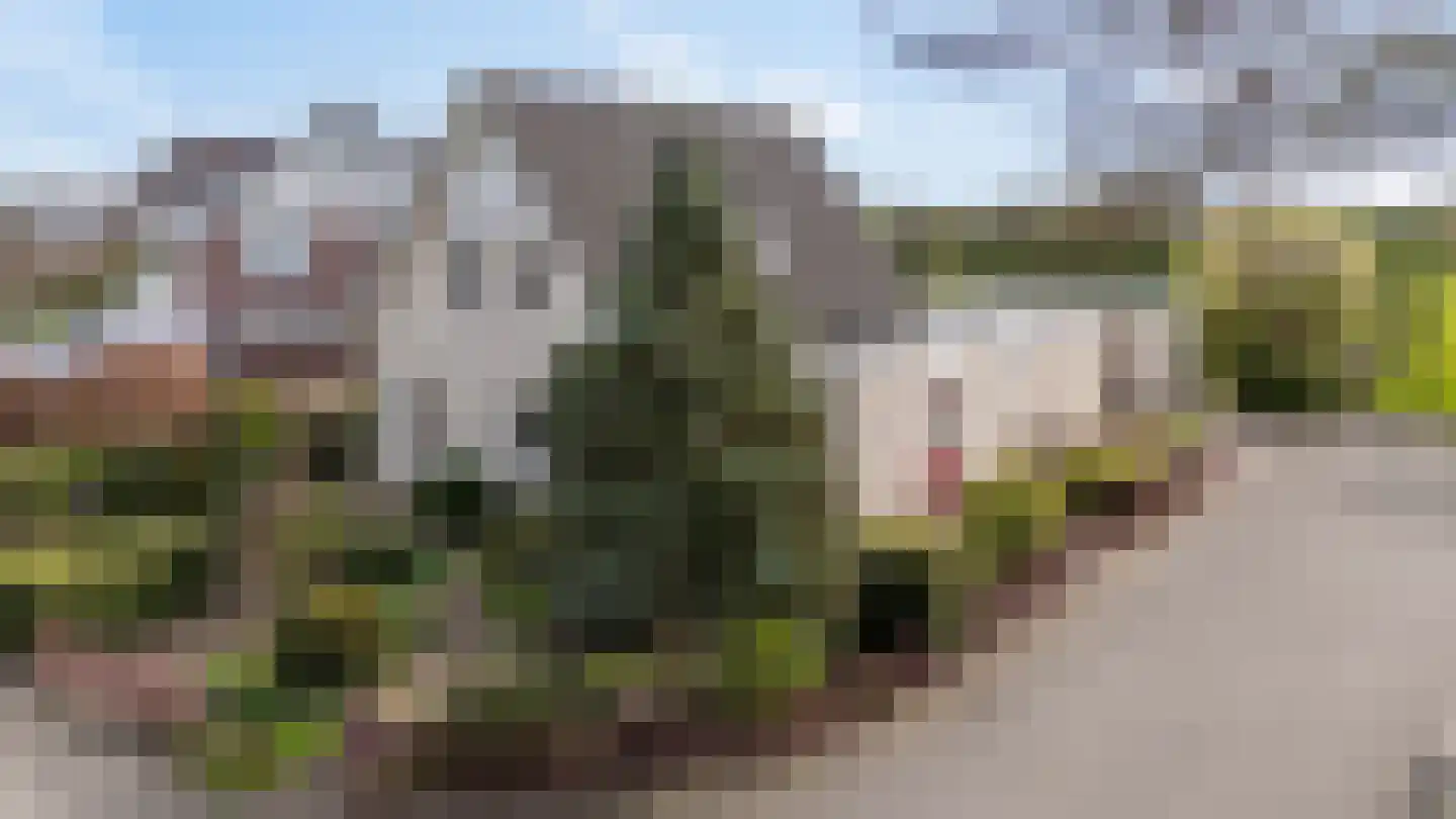 Kruisherenstraat 8 Groessen thumbnail 5