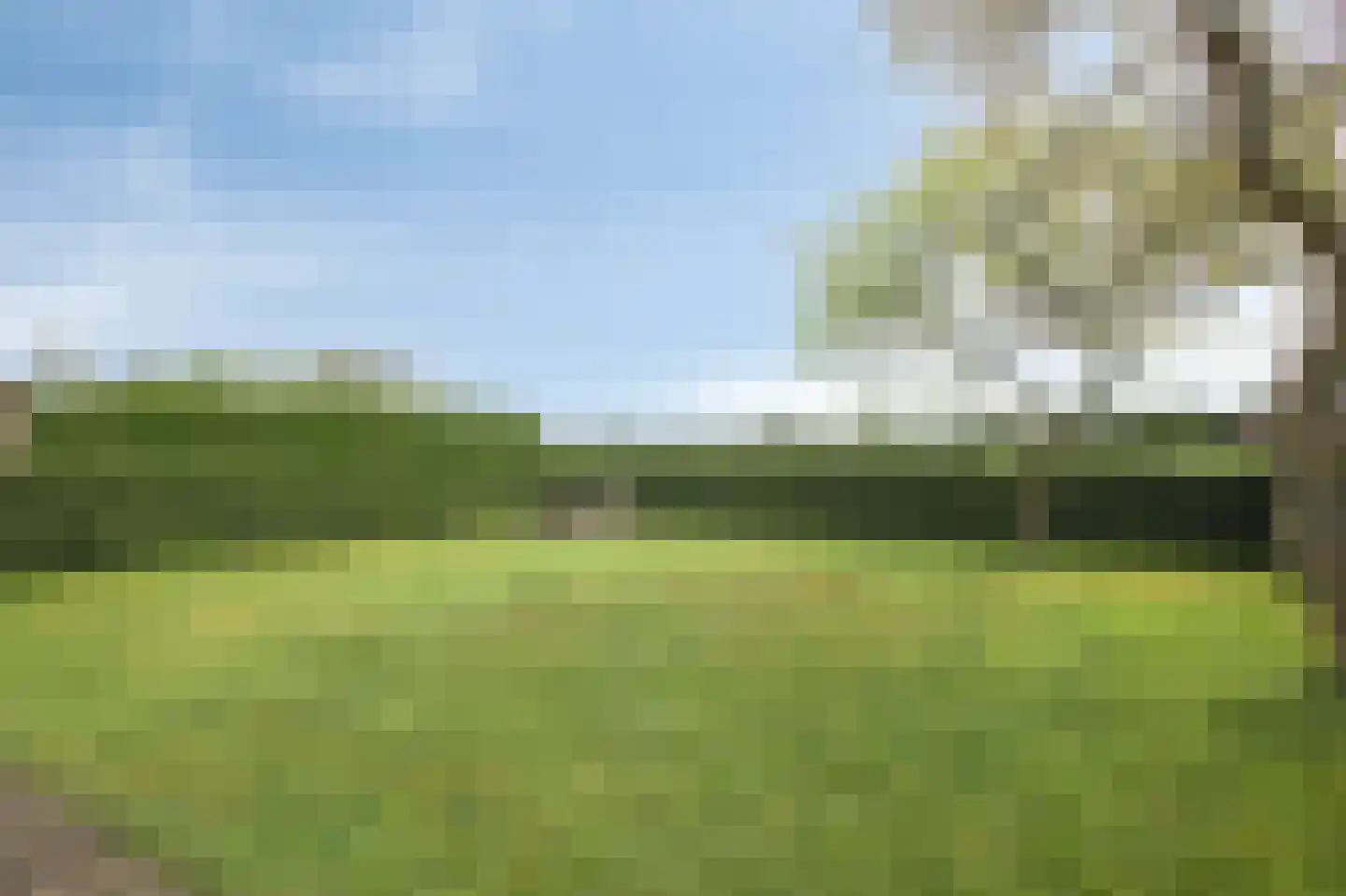 Kruisherenstraat 8 Groessen thumbnail 58