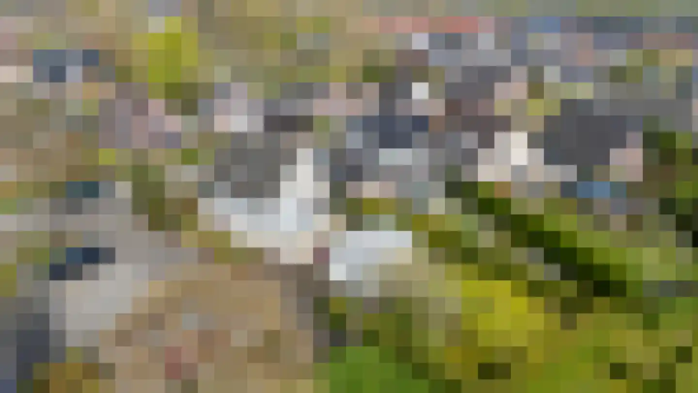 Kruisherenstraat 8 Groessen thumbnail 60