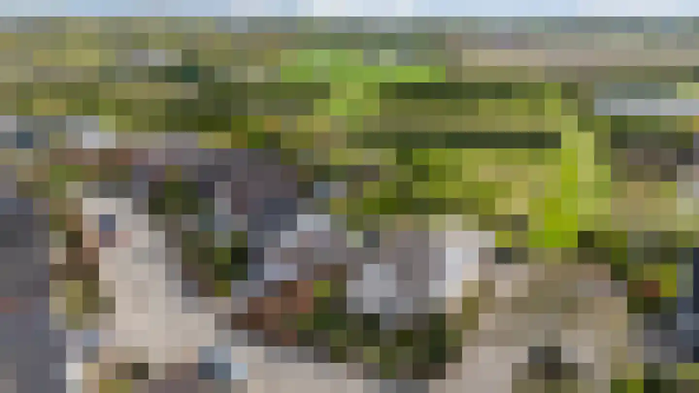 Kruisherenstraat 8 Groessen thumbnail 61