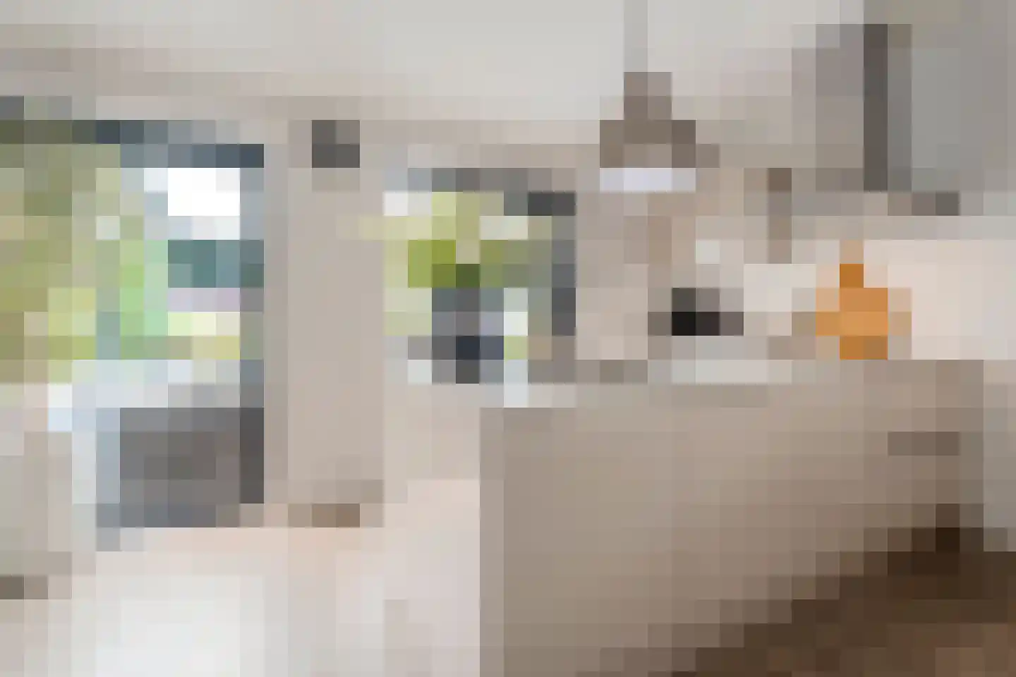 Kruishout 32 Cuijk thumbnail 13
