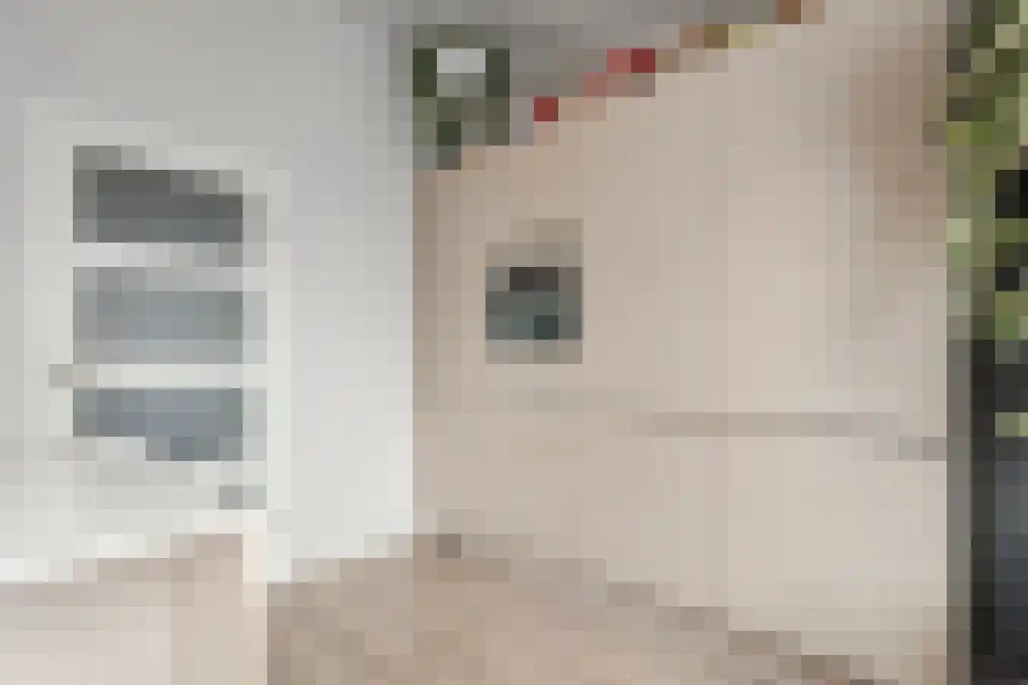 Kruishout 32 Cuijk thumbnail 15
