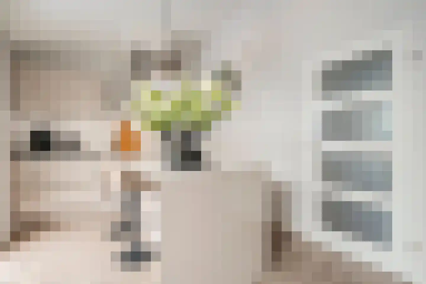 Kruishout 32 Cuijk thumbnail 16