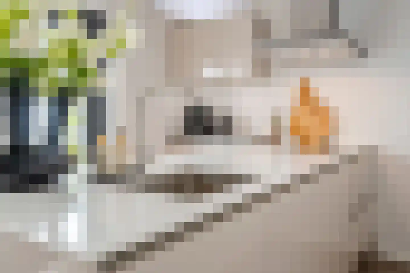 Kruishout 32 Cuijk thumbnail 17