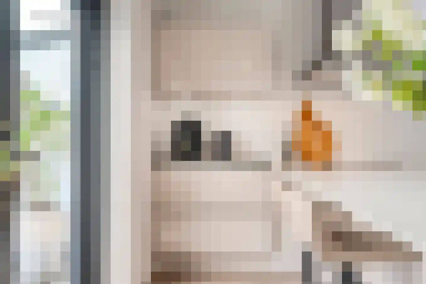 Kruishout 32 Cuijk thumbnail 18