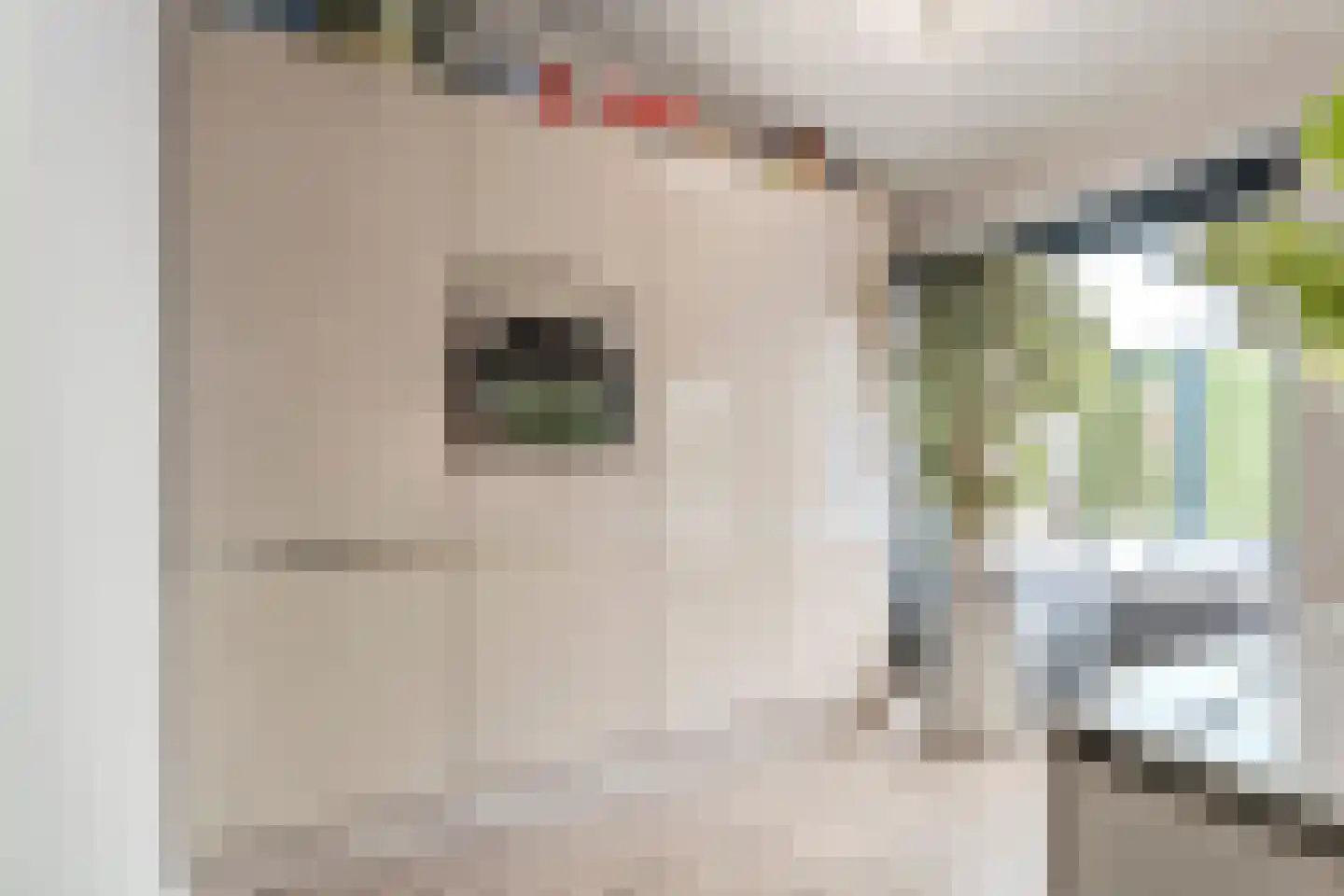 Kruishout 32 Cuijk thumbnail 20