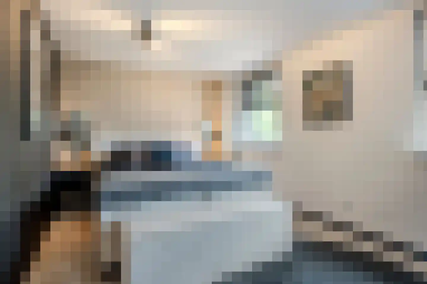 Kruishout 32 Cuijk thumbnail 22