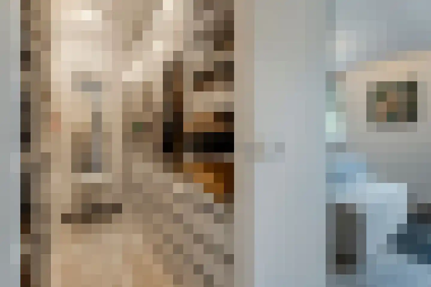 Kruishout 32 Cuijk thumbnail 25