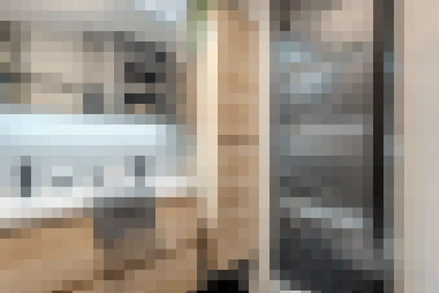 Kruishout 32 Cuijk thumbnail 30