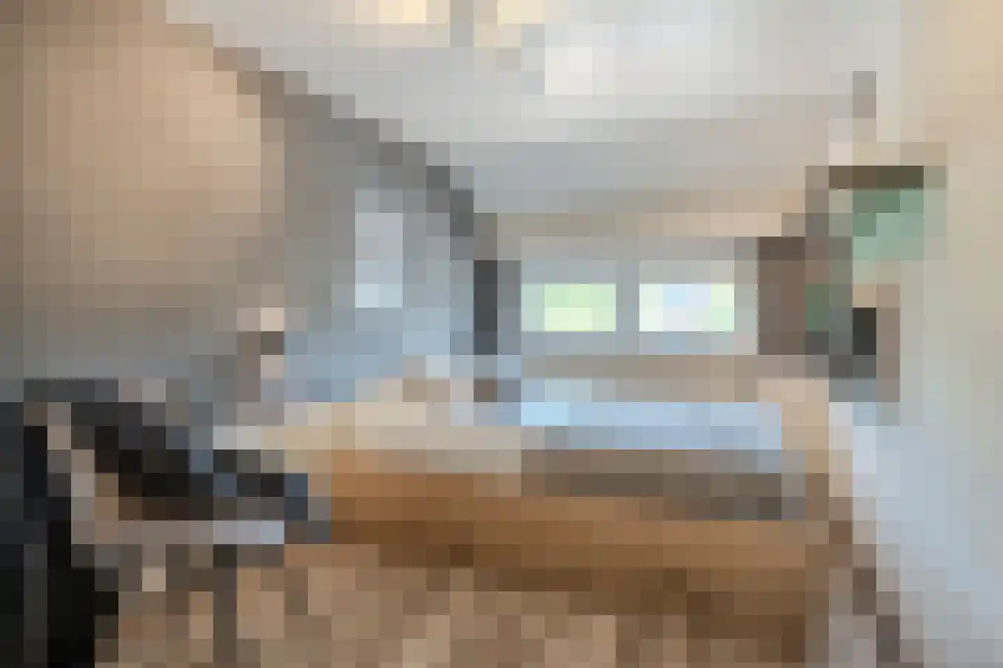 Kruishout 32 Cuijk thumbnail 32