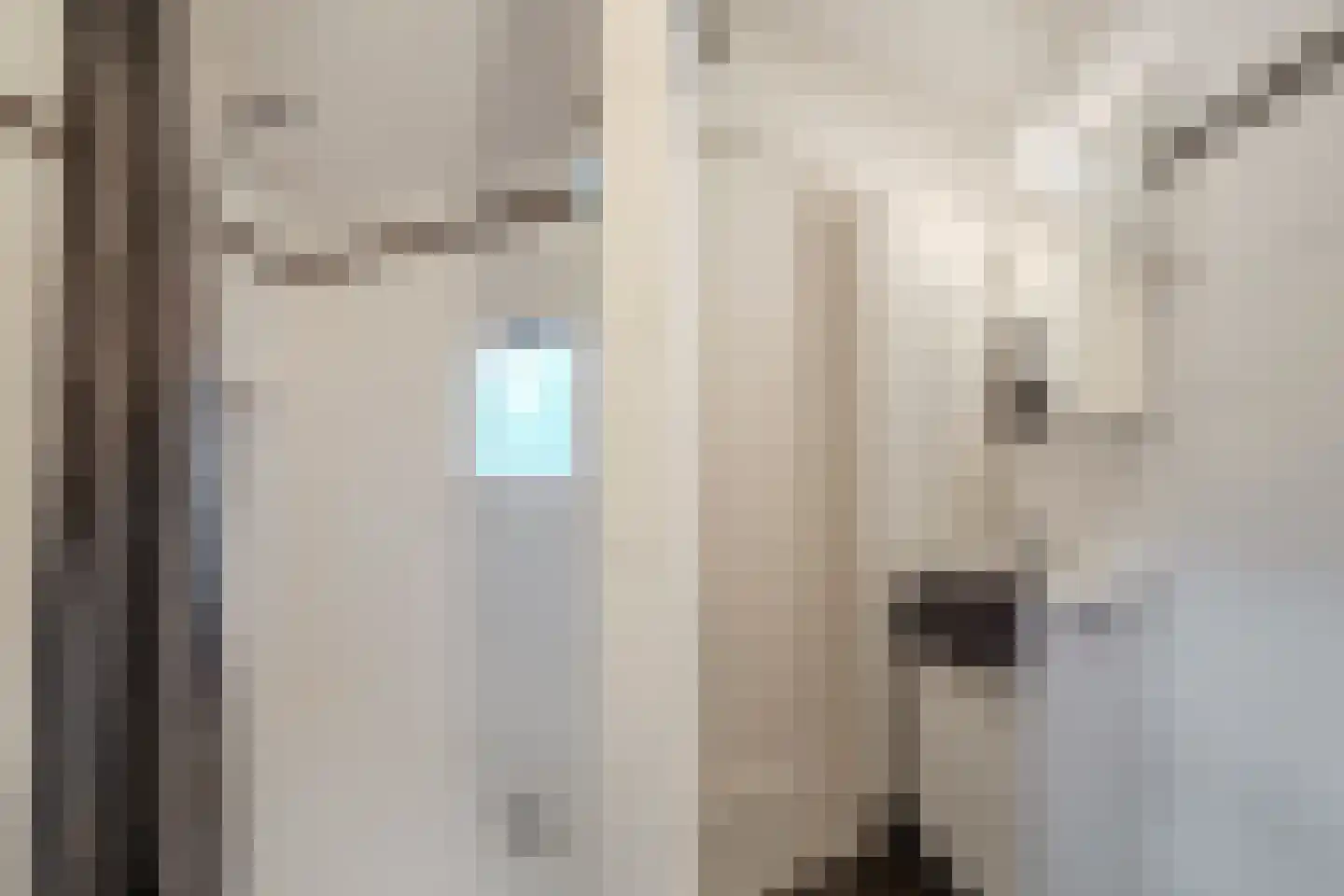 Kruishout 32 Cuijk thumbnail 35