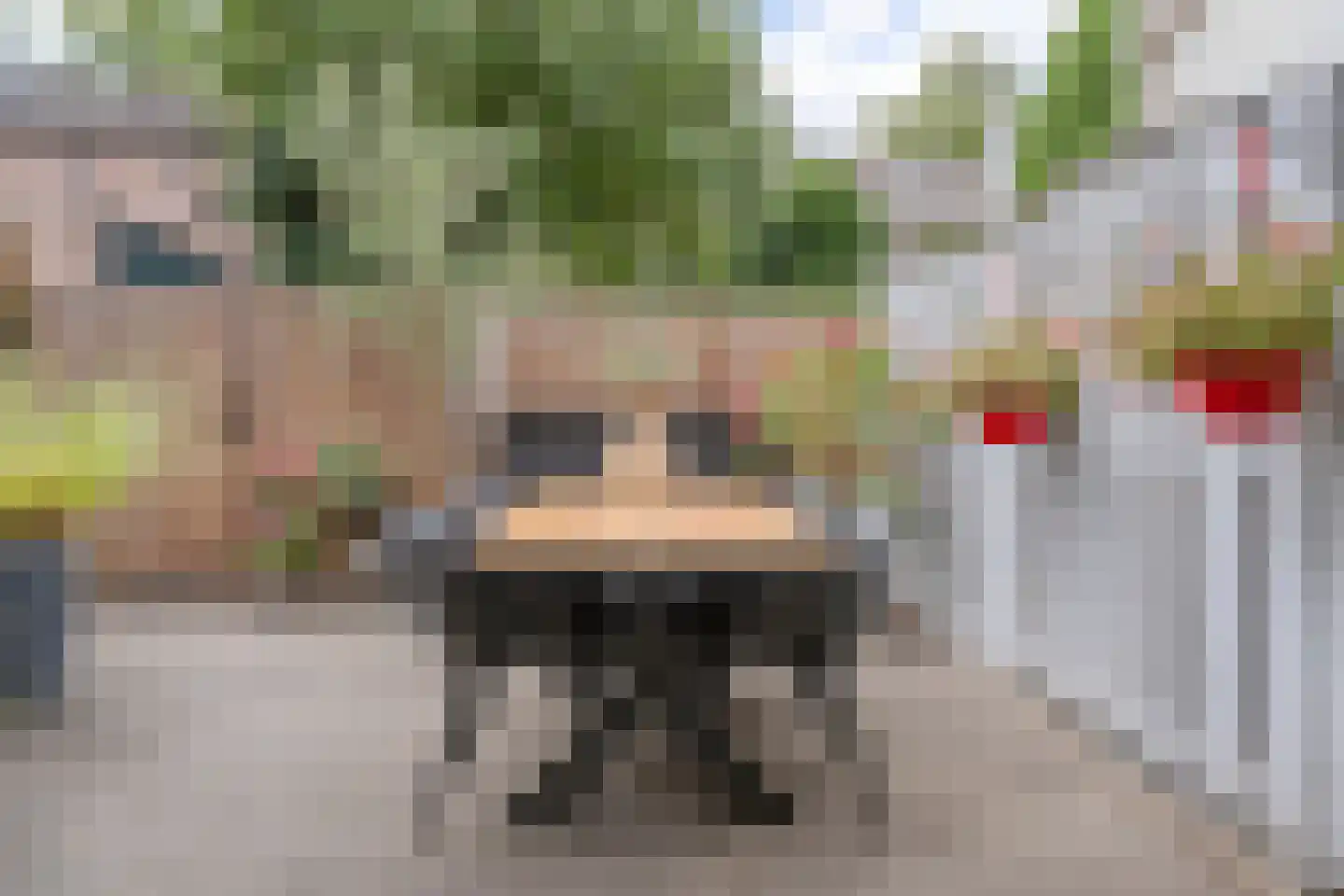 Kruishout 32 Cuijk thumbnail 37