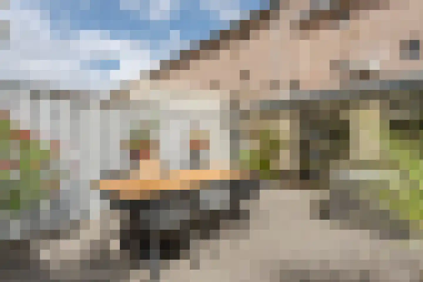 Kruishout 32 Cuijk thumbnail 39