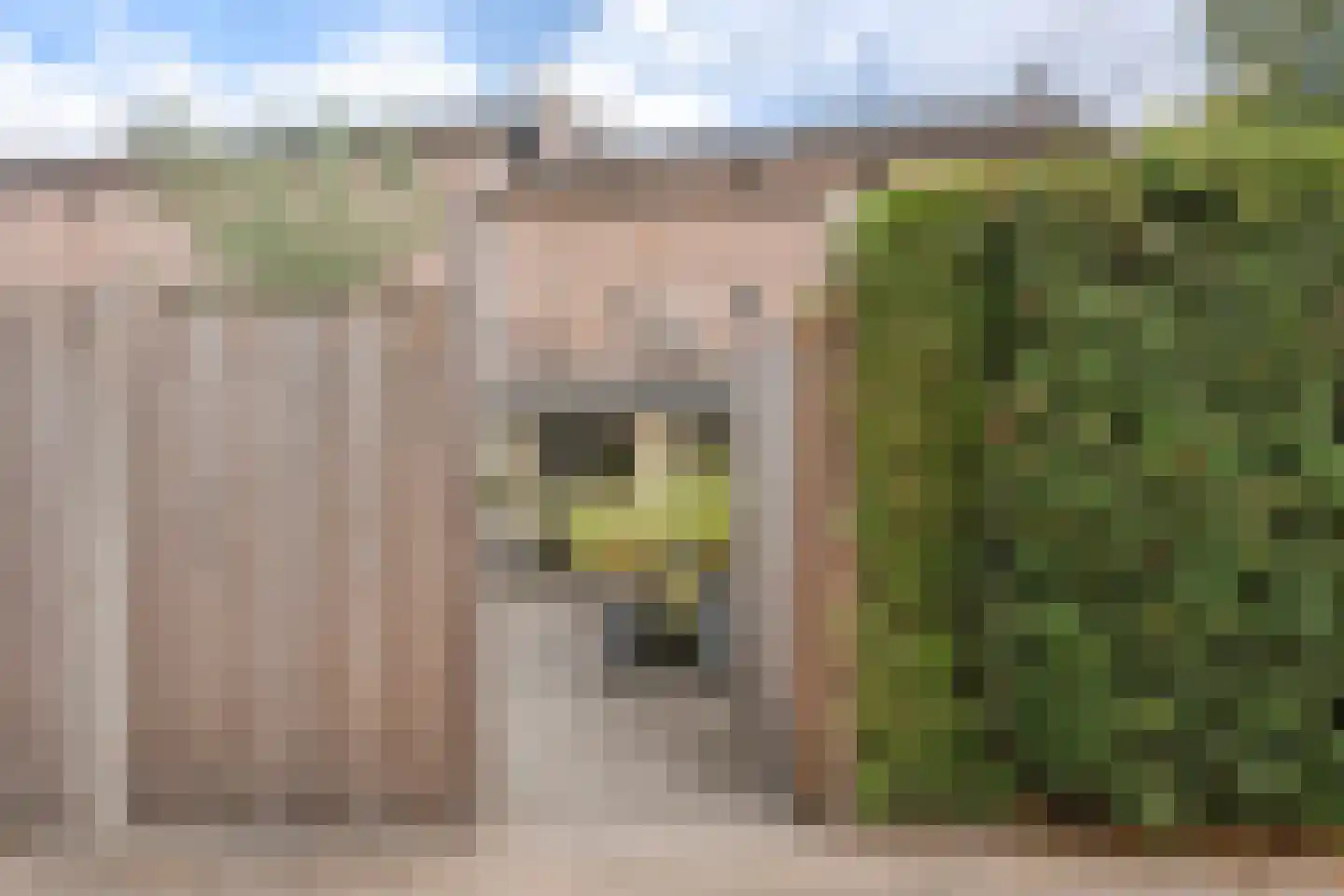 Kruishout 32 Cuijk thumbnail 40