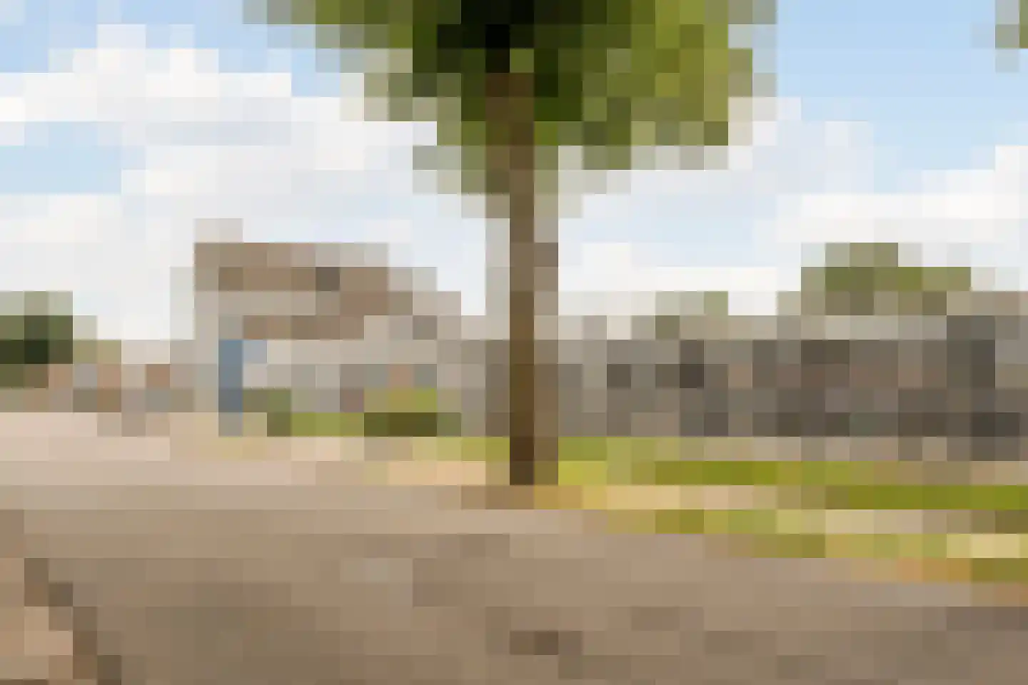 Kruishout 32 Cuijk thumbnail 43